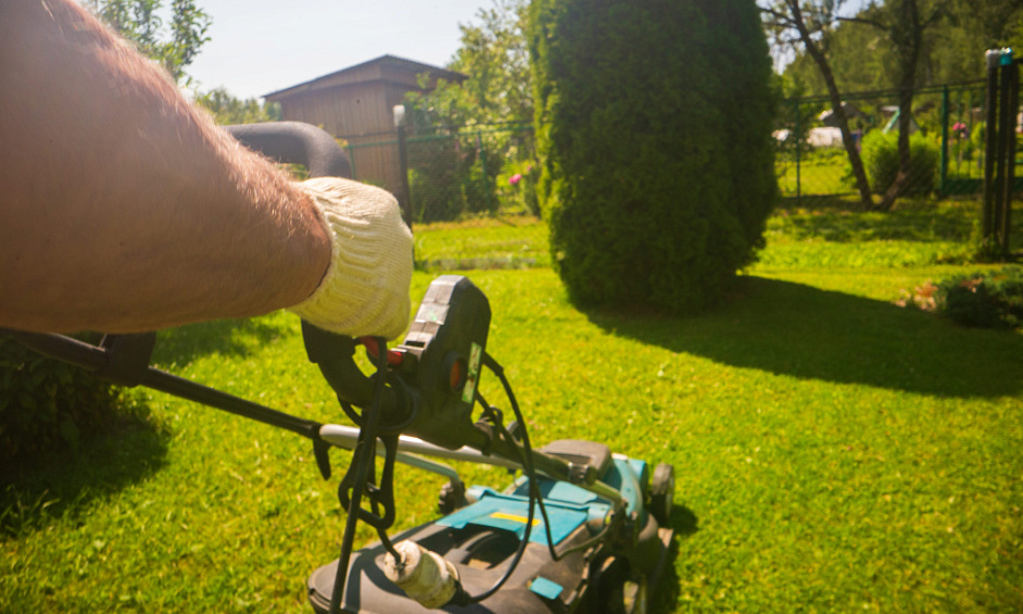 Entreprise établie d'entretien de pelouses et de jardins | 30 clients réguliers | Opportunité clé en main 1