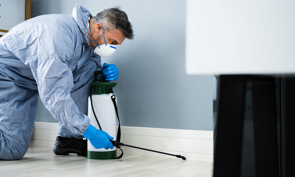 Fabricant & Détaillant De Lutte Antiparasitaire Sans Produits Chimiques 1 Fabricant & Détaillant De Lutte Antiparasitaire Sans Produits Chimiques 1