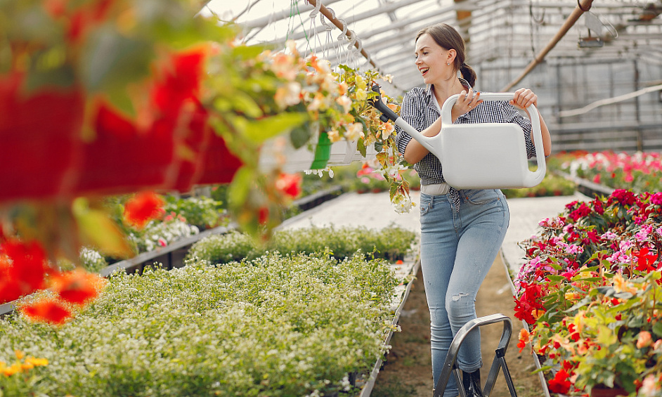 Entreprise Fiable de Services de Jardinage avec Potentiel de Croissance 1