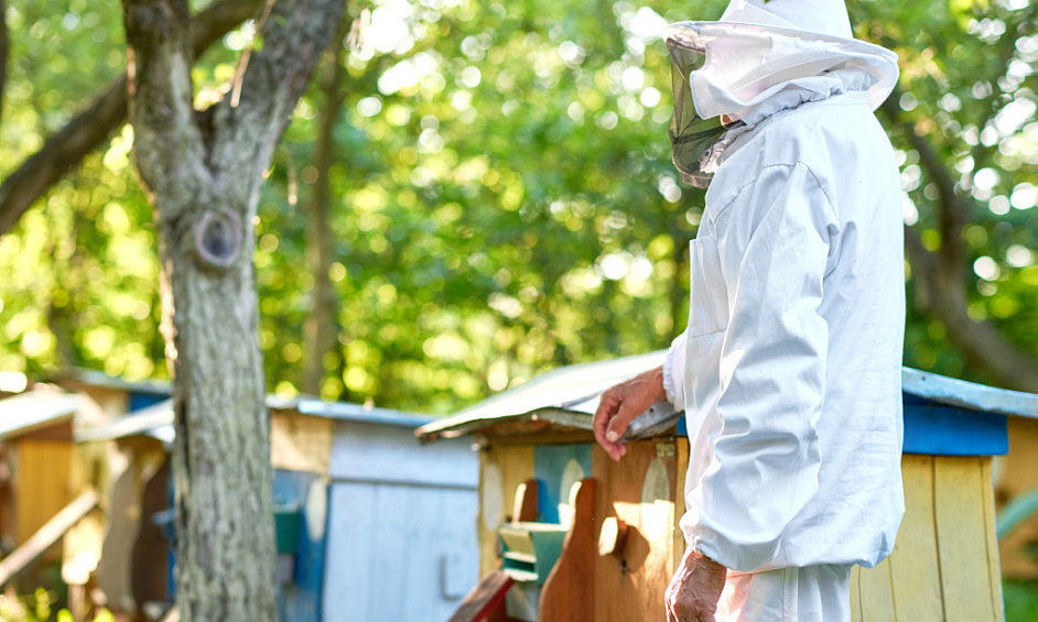 Entreprise d'inspection des bâtiments & des parasites du bois établie & rentable 1
