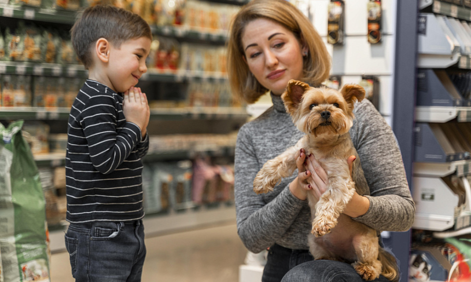 Magasin D'Alimentation pour Animaux À Vendre dans Le Centre Commercial North East Adelaide 1