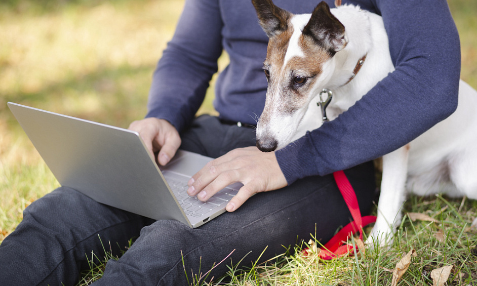 Service d'Éducation Canine de Confiance avec Plusieurs Sources de Revenus et de Solides Recommandations Vétérinaires 1