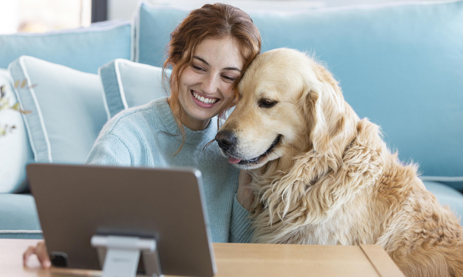 Niche De Soins Pour Animaux Établie À Perth Avec Un Référencement Solide Et Une Clientèle Fidèle 1