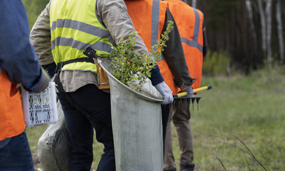 Entretien De La Végétation Entrepreneur Municipal - EBS 1