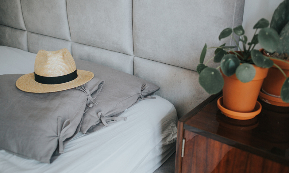 Albany Hébergement Bail 1