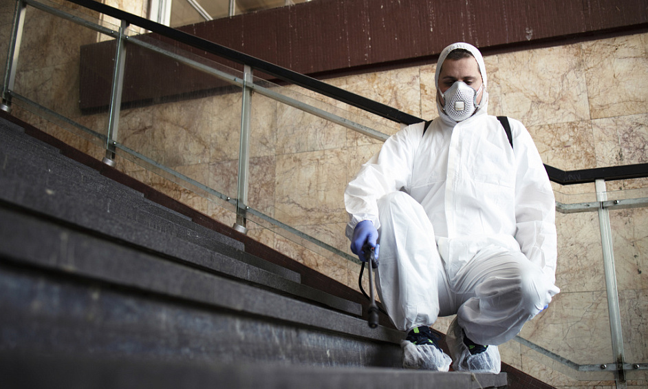 Entreprise de lutte contre les termites & nuisibles de longue date - Base de clients fidèles 1