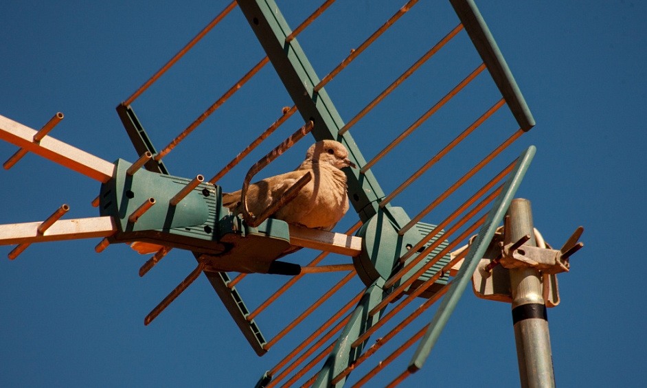 Entreprise Rentable D'Antennes Mobiles & De Communications Brisbane & Sunshine Coast 1