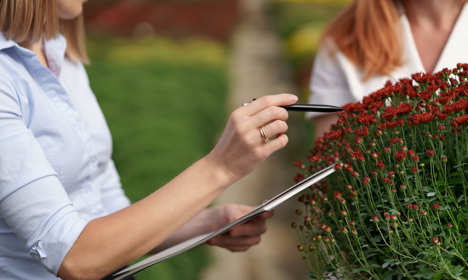 Entreprise De Tonte Rentable Avec Clientèle Établie 1