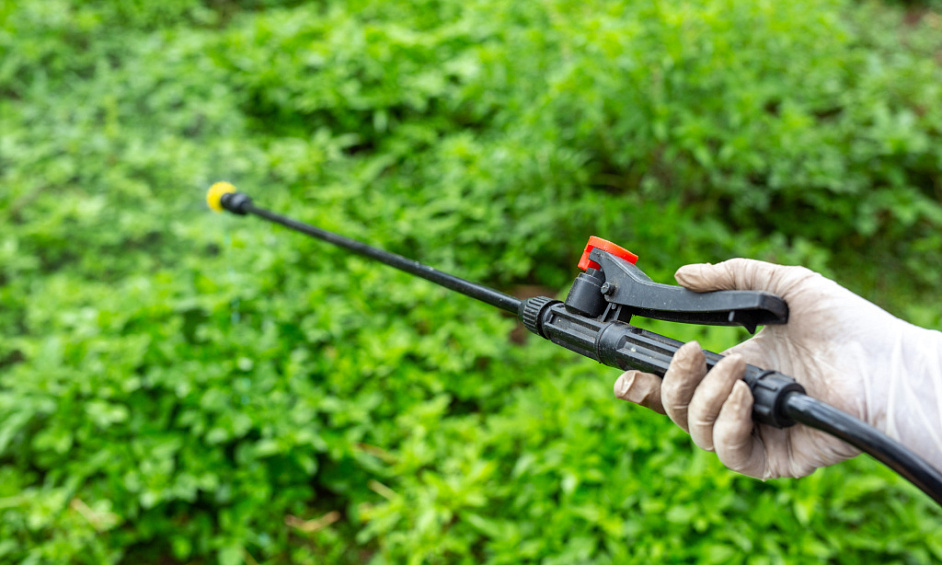 Fabricant & Détaillant de Lutte Antiparasitaire Sans Produits Chimiques 1