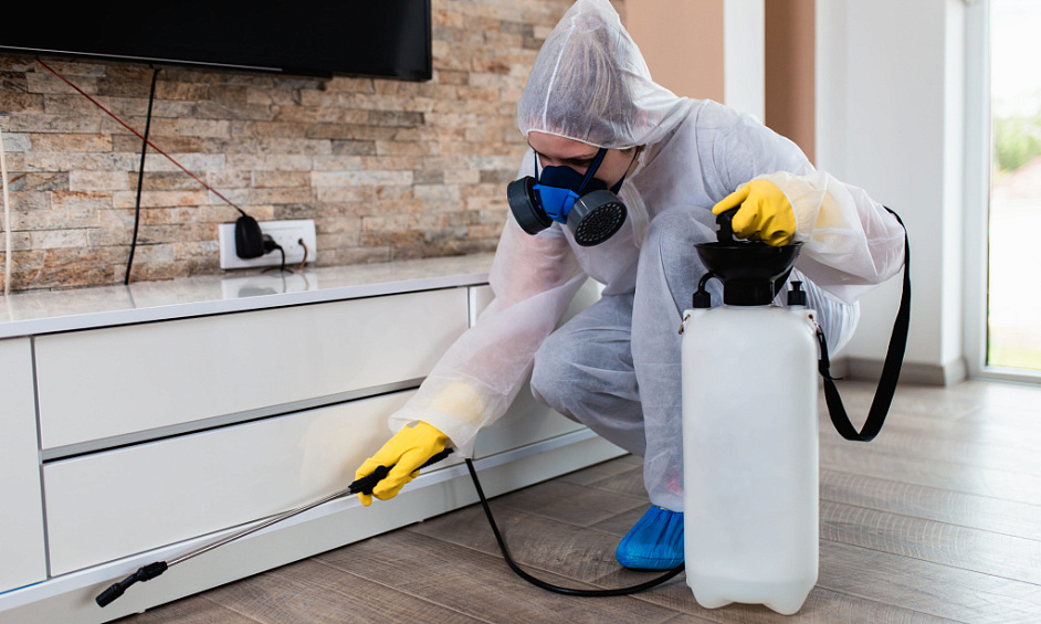 Sans Produits Chimiques Lutte Antiparasitaire Fabricant & Détaillant 1