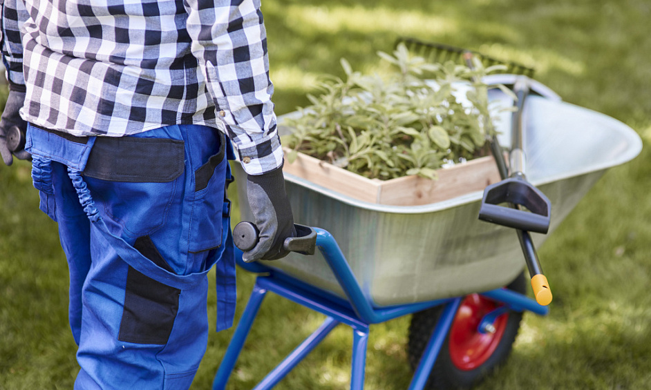 Services d'Aménagement Paysager Établis 1