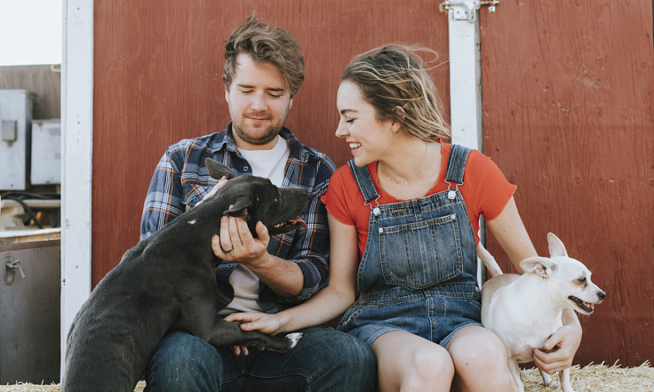 Magasin Rural de Soins pour Animaux de Compagnie et de Produits Frais avec une Clientèle Établie 1