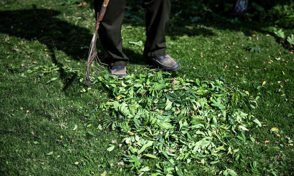 Entretien de pelouse & jardinage Noosa 1