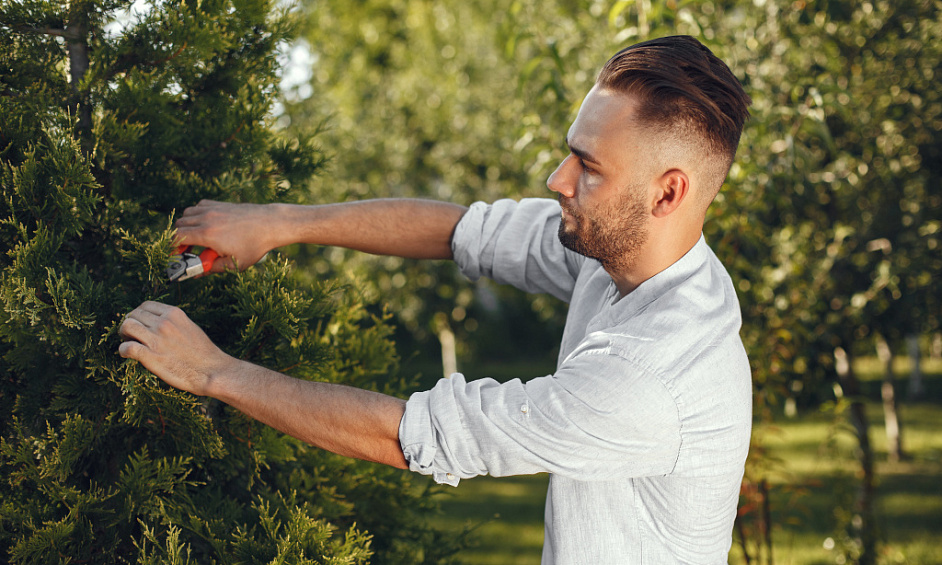 Entretien des arbres - Entreprise d'arboriste 1