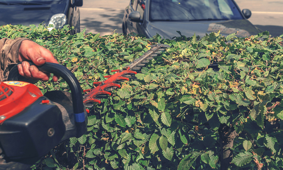 Tonte - Tournée à temps partiel - Noosa 1