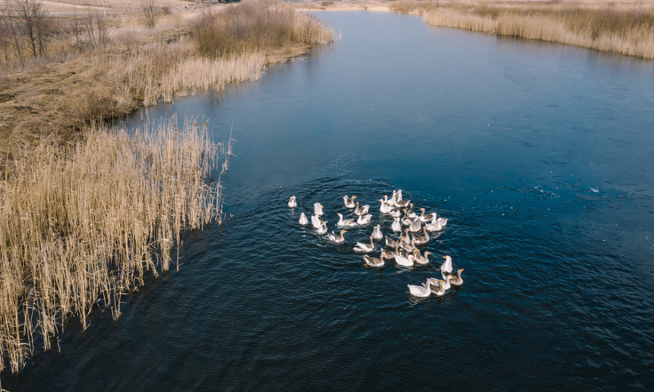 Aquaculture Durable & Pôle Alimentaire - Port Stephens 1